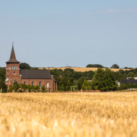 Høst 01.jpg