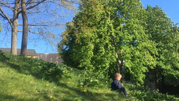 Lille dreng i grønt græs