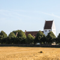 Høst 08.jpg