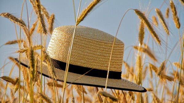 Hat i mark