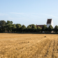 Høst 09.jpg
