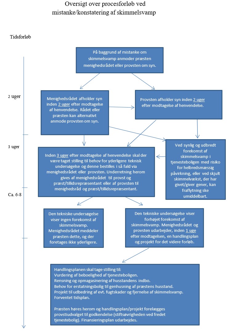 Procesoversigt skimmelsvamp